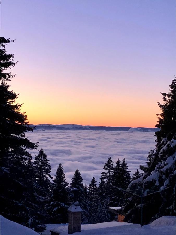 T2- 4Pers- Chamrousse Bachat Bouloud公寓 外观 照片